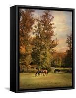 Grazing in Autumn-Jai Johnson-Framed Stretched Canvas