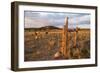 Grazing Land in Escalante, a City in Garfield County, Utah, United States., 2012 (Photo)-Ira Block-Framed Giclee Print