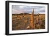 Grazing Land in Escalante, a City in Garfield County, Utah, United States., 2012 (Photo)-Ira Block-Framed Giclee Print