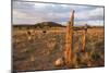 Grazing Land in Escalante, a City in Garfield County, Utah, United States., 2012 (Photo)-Ira Block-Mounted Giclee Print
