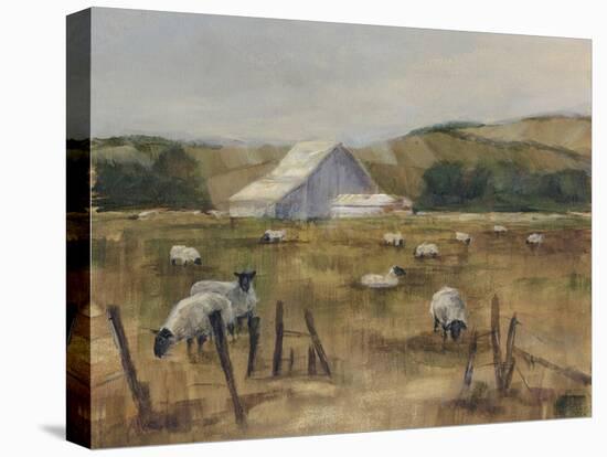 Grazing Sheep I-Ethan Harper-Stretched Canvas