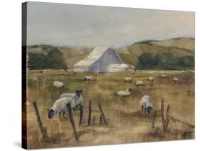 Grazing Sheep I-Ethan Harper-Stretched Canvas