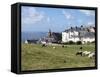 Grazing Sheep, Mortehoe, Devon, England, United Kingdom, Europe-Jeremy Lightfoot-Framed Stretched Canvas