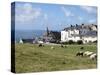 Grazing Sheep, Mortehoe, Devon, England, United Kingdom, Europe-Jeremy Lightfoot-Stretched Canvas