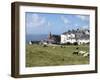 Grazing Sheep, Mortehoe, Devon, England, United Kingdom, Europe-Jeremy Lightfoot-Framed Photographic Print