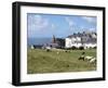 Grazing Sheep, Mortehoe, Devon, England, United Kingdom, Europe-Jeremy Lightfoot-Framed Photographic Print