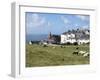 Grazing Sheep, Mortehoe, Devon, England, United Kingdom, Europe-Jeremy Lightfoot-Framed Photographic Print