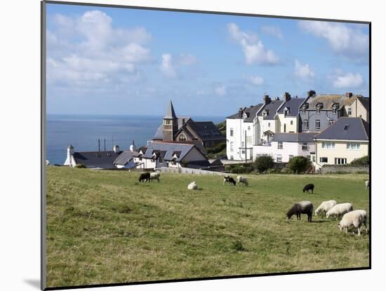 Grazing Sheep, Mortehoe, Devon, England, United Kingdom, Europe-Jeremy Lightfoot-Mounted Photographic Print