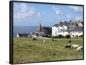 Grazing Sheep, Mortehoe, Devon, England, United Kingdom, Europe-Jeremy Lightfoot-Framed Photographic Print