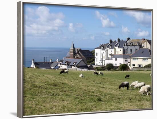 Grazing Sheep, Mortehoe, Devon, England, United Kingdom, Europe-Jeremy Lightfoot-Framed Photographic Print