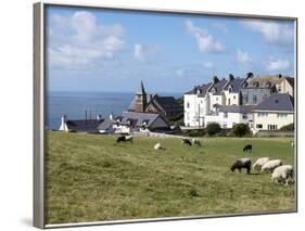 Grazing Sheep, Mortehoe, Devon, England, United Kingdom, Europe-Jeremy Lightfoot-Framed Photographic Print