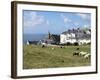 Grazing Sheep, Mortehoe, Devon, England, United Kingdom, Europe-Jeremy Lightfoot-Framed Photographic Print