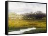 Grazing Sheep-Miguel Dominguez-Framed Stretched Canvas