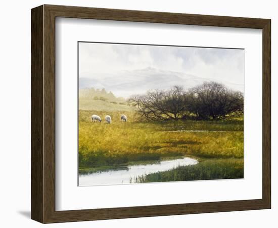 Grazing Sheep-Miguel Dominguez-Framed Giclee Print