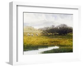 Grazing Sheep-Miguel Dominguez-Framed Giclee Print