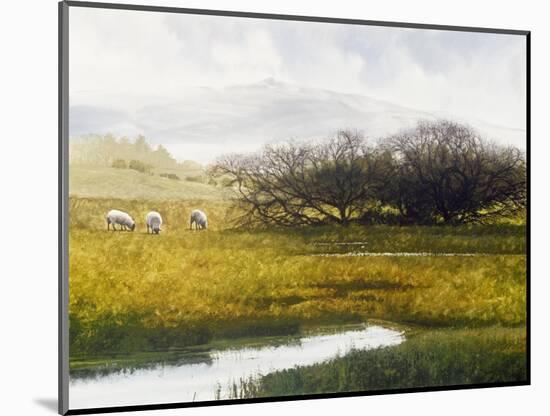 Grazing Sheep-Miguel Dominguez-Mounted Giclee Print