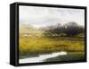 Grazing Sheep-Miguel Dominguez-Framed Stretched Canvas