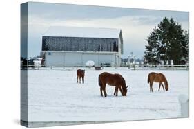 Grazing the Snow-Dana Styber-Stretched Canvas
