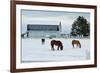 Grazing the Snow-Dana Styber-Framed Photographic Print