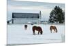 Grazing the Snow-Dana Styber-Mounted Photographic Print