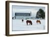 Grazing the Snow-Dana Styber-Framed Photographic Print
