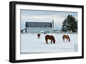 Grazing the Snow-Dana Styber-Framed Photographic Print