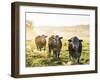 Grazing Trio-Mikael Svensson-Framed Giclee Print