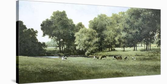 Grazing-Ray Hendershot-Stretched Canvas