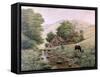 Grazing-Bill Makinson-Framed Stretched Canvas