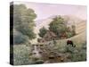 Grazing-Bill Makinson-Stretched Canvas