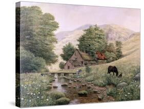 Grazing-Bill Makinson-Stretched Canvas