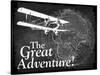 Great Adventure-null-Stretched Canvas