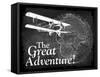 Great Adventure-null-Framed Stretched Canvas