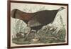 Great American Hen and Young, 1827-John James Audubon-Framed Giclee Print