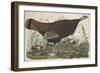 Great American Hen and Young, 1827-John James Audubon-Framed Premium Giclee Print