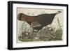 Great American Hen and Young, 1827-John James Audubon-Framed Premium Giclee Print