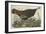 Great American Hen and Young, 1827-John James Audubon-Framed Giclee Print