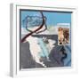 Great American Road Trip II-Connie Tunick-Framed Art Print