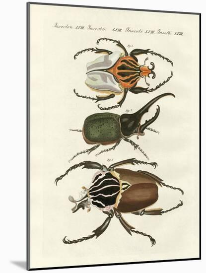 Great and Rare Foreign Beetles-null-Mounted Giclee Print