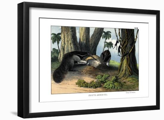 Great Anteater, 1860-null-Framed Giclee Print