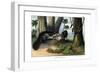 Great Anteater, 1860-null-Framed Giclee Print