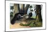 Great Anteater, 1860-null-Mounted Giclee Print