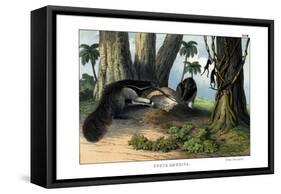 Great Anteater, 1860-null-Framed Stretched Canvas