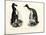 Great Auk, 1864-null-Mounted Giclee Print