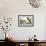 Great Auk (Alka Impennis):-John James Audubon-Framed Giclee Print displayed on a wall