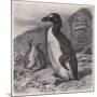 Wood Mount