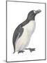Great Auk (Pinguinnus Impennis), Birds-Encyclopaedia Britannica-Mounted Poster