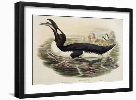 Great Auk Pinguinus Impennis-null-Framed Giclee Print