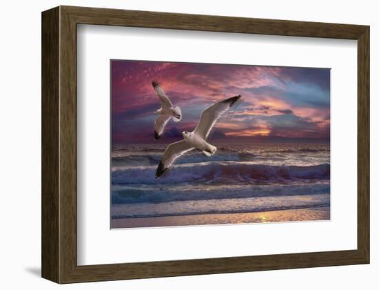 Great Awakening-Steve Hunziker-Framed Art Print