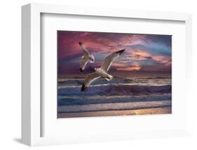 Great Awakening-Steve Hunziker-Framed Art Print